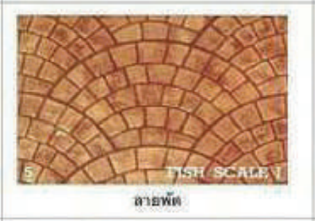 Fan Pattern