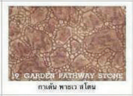 Garden Pathway Stone